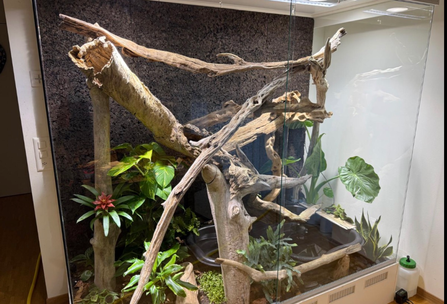 Fertiges Terrarium