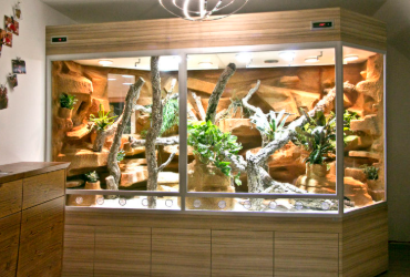 Terrarium