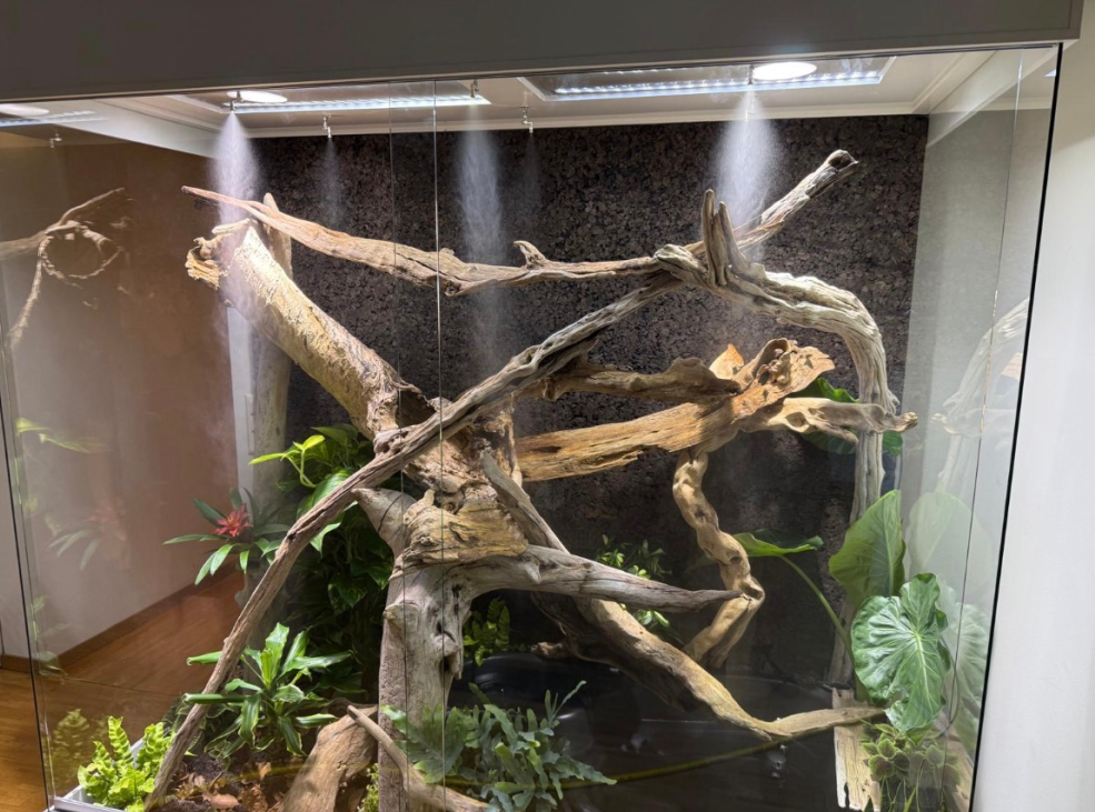 Fertiges Terrarium von vorne